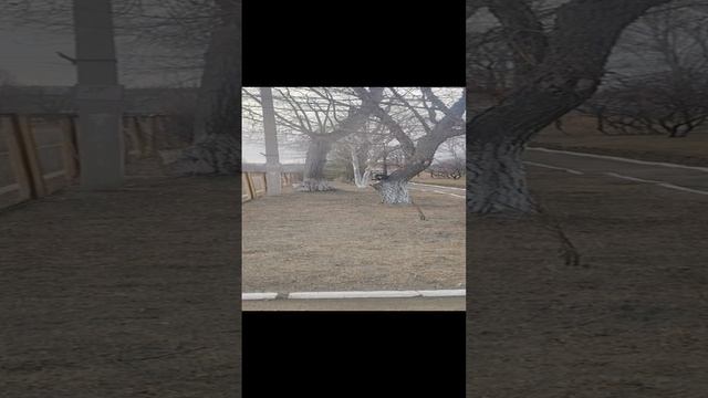 1000015817.mp4