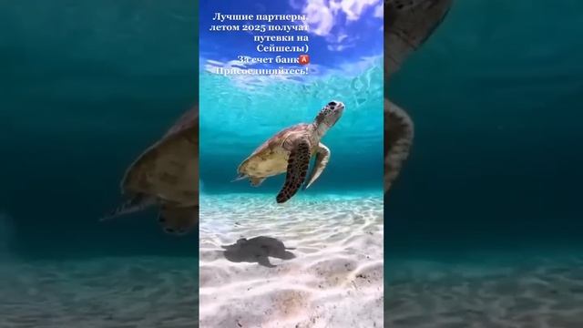 Мечт🅰️ сбудется, иди к цели (контакт в профиле)