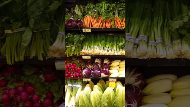 Получить сертификат или декларацию соответствия на лук порей по ГОСТу — сертификат-декларация.рф