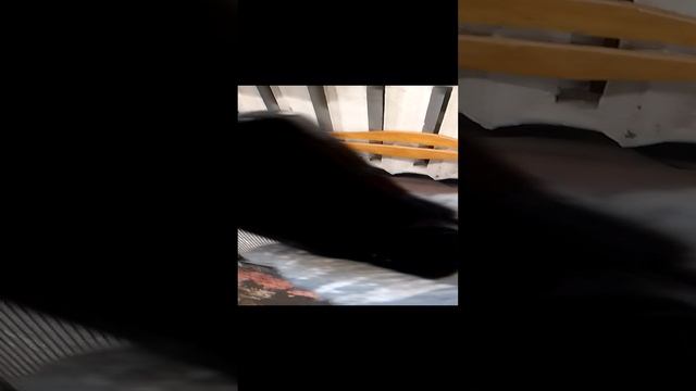 1000104420.mp4