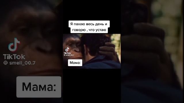 ЭТО ВСЁ ИЗА ТЕЛЕФОН