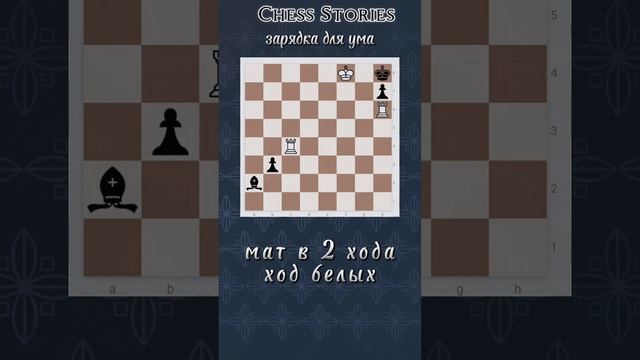 Задача для ума #chess #stories #задачи #шахматы #shorts