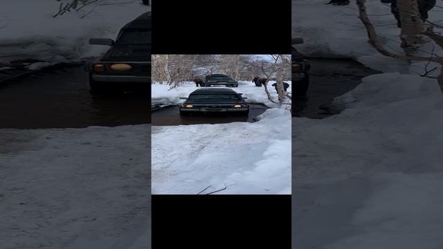Ниссан Сафари Камчатка