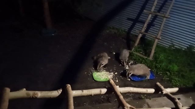 1000342588.mp4