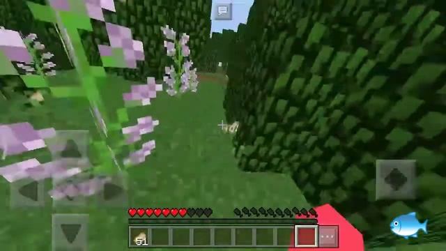 мышка-сосиска ношел сало сало Украинское сало