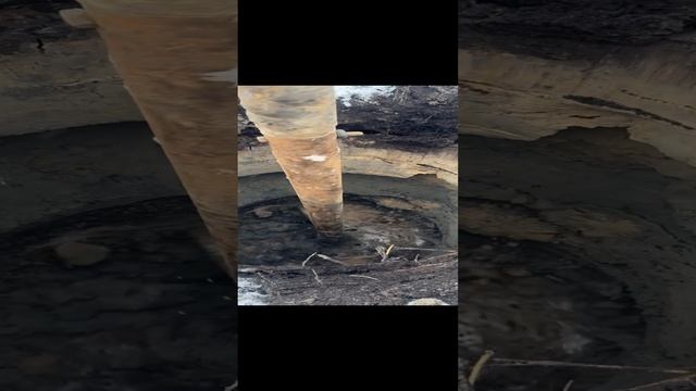 ✅ Это треш какой то 🤦♂️🤦♂️🤦♂️🤦♂️