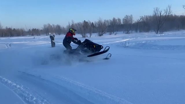 Сегодня)