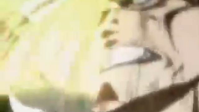 naruto and bleach beta v2(cancelled)