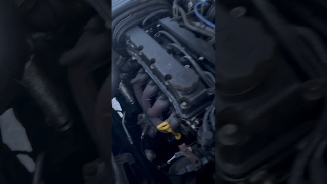 -3383002559307036807
