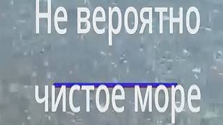 Не вероятно чистое море