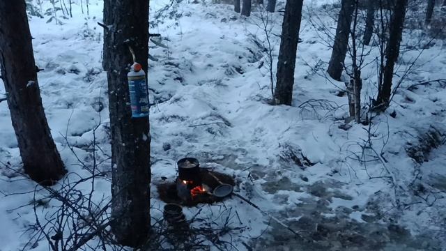 Болото оршинский мох, место ночевки