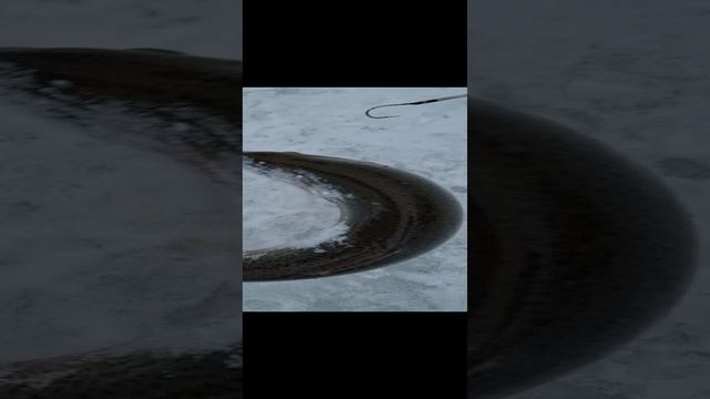 1000183534.mp4