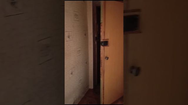 VID-20250107-WA0007