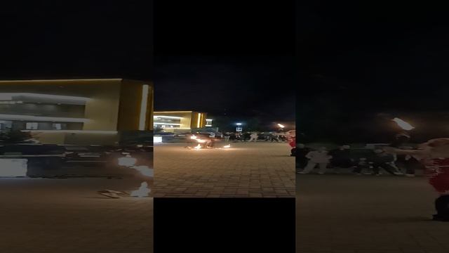 1000008480.mp4