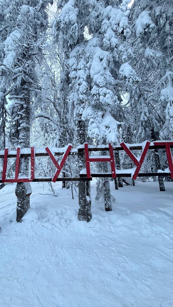 Зимние покатушки