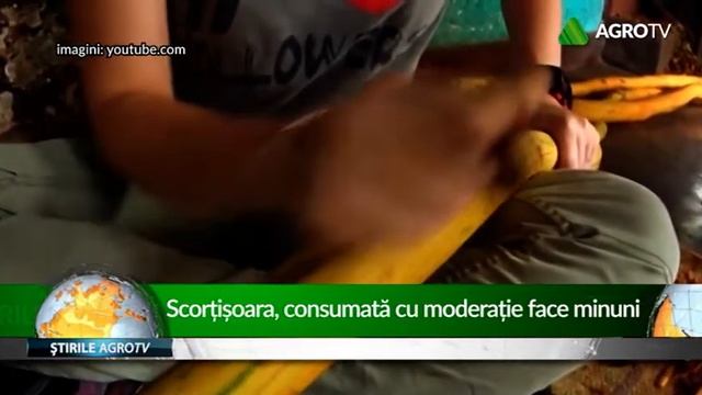 scortisoara consumata cu moderatie face minuni 08 11 2018