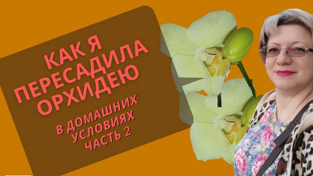 КАК Я ПЕРЕСАДИЛА ОРХИДЕЮ | полное подробное видео пересадка фаленопсиса