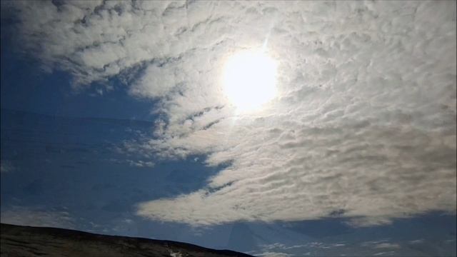 "Не отрывайся от своих корней" ©
