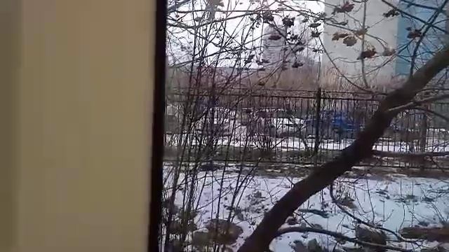 23.11.24.г.Моя 👩городская🏬 жизнь❄❄❄. прогулка до супермаркета.