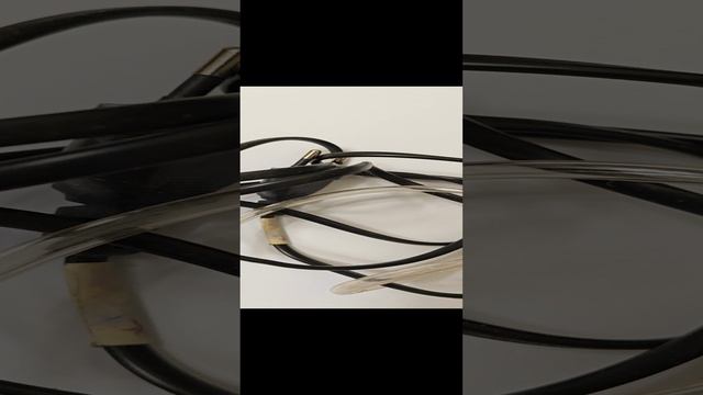 1000079619.mp4