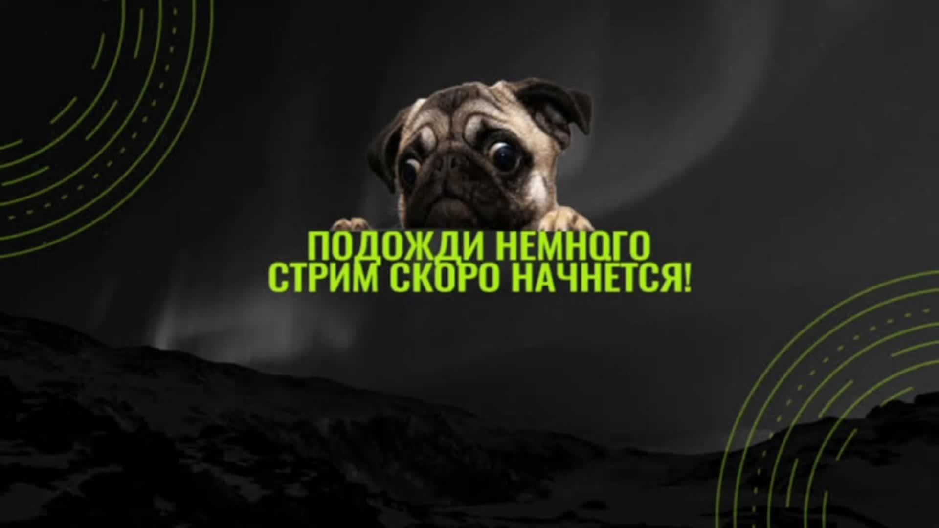 играем в NFS MV стрим3 после лагеря:)
