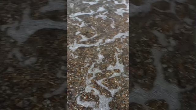ВЛОГ: я уже в Турции🦚🌸🌼🦋🦋🦋