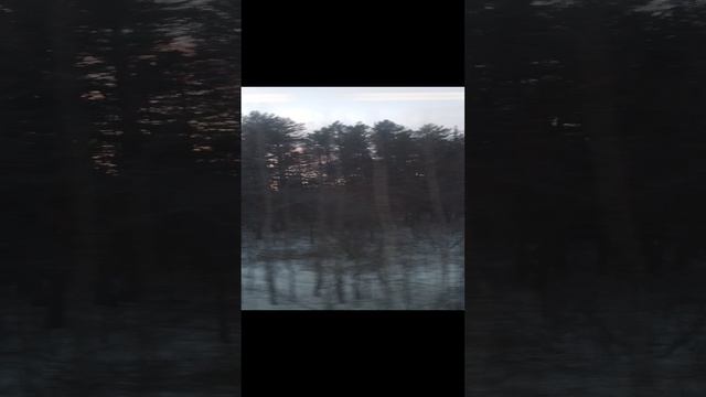 Из окна электрички сообщением Кушва-Нижний Тагил