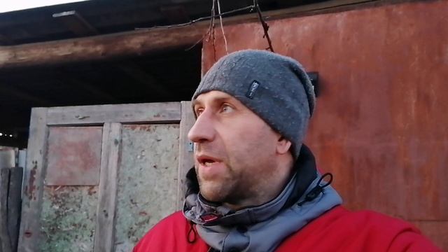 Своё хозяйство. В гостях у курочек. Всё-таки думаем о новом курятнике.