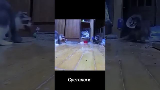 1000070620.mp4