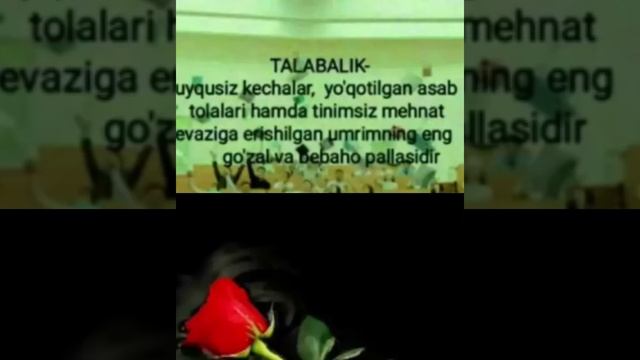 Туëна тжк чорбоги боло