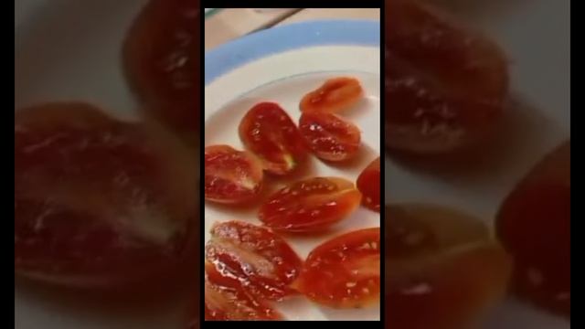 Обзор и дегустация томатов БРУСИЛОВСКИЙ ,ИНДИЙСКОЕ МЯСО,КОЗУЛА 172, САН МАРЦАНО И ДР