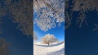 Зимняя красота
