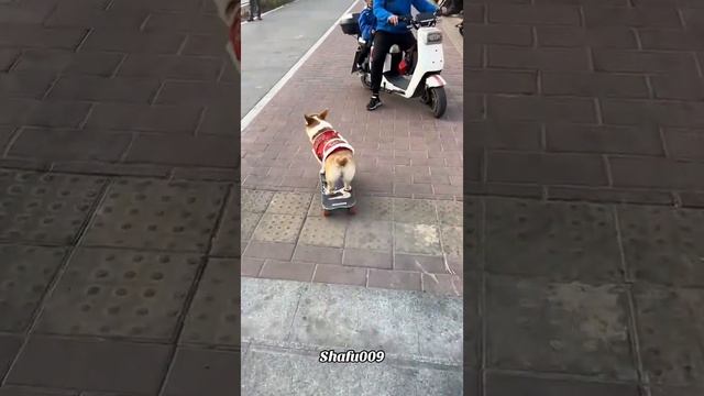 1000005219.mp4