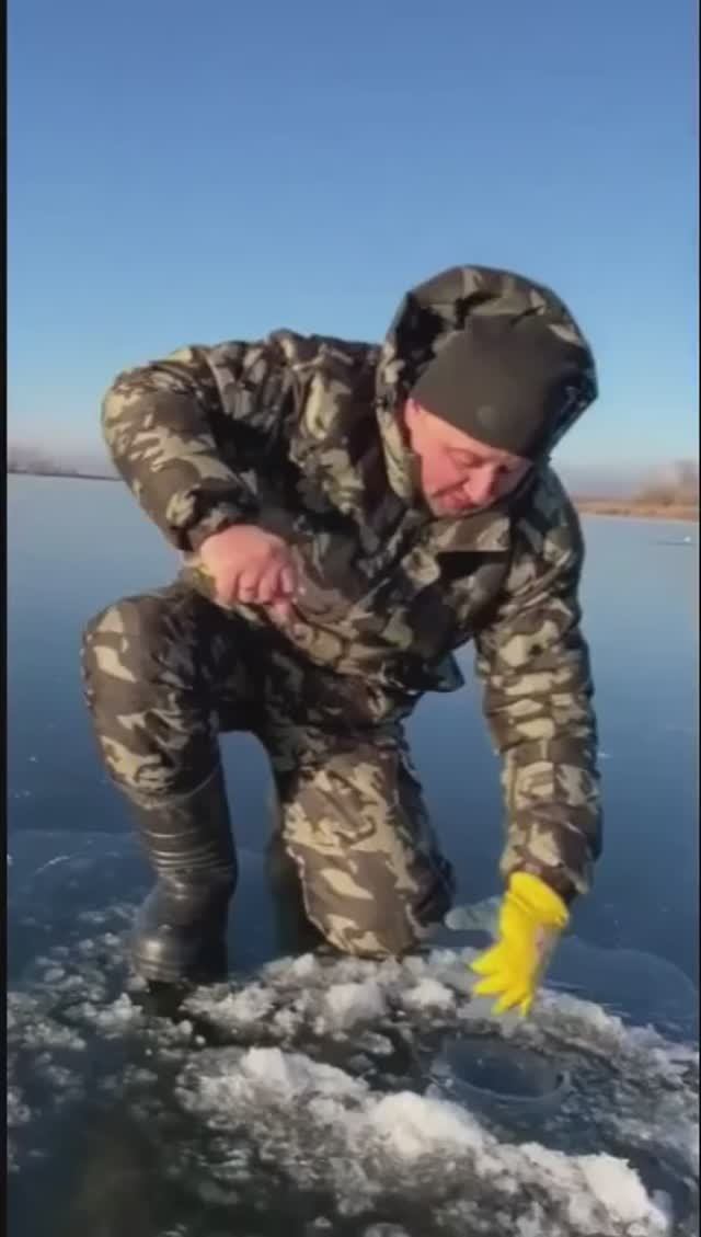 Сработка жерлицы. Неплохая щучка.