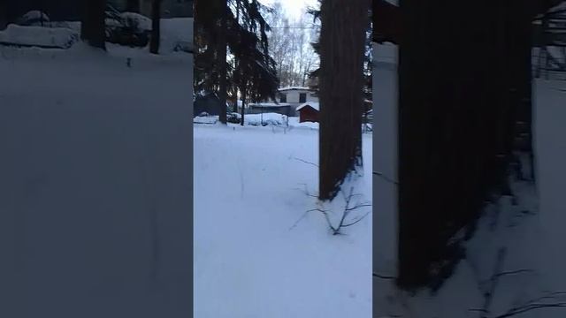 VID-20250107-WA0028