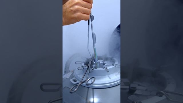 НИЗКИЙ ОВАРИАЛЬНЫЙ РЕЗЕРВ? ЧТО ДЕЛАТЬ ДЕВУШКЕ?