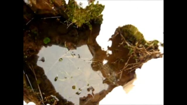 ключевой колодец.wmv