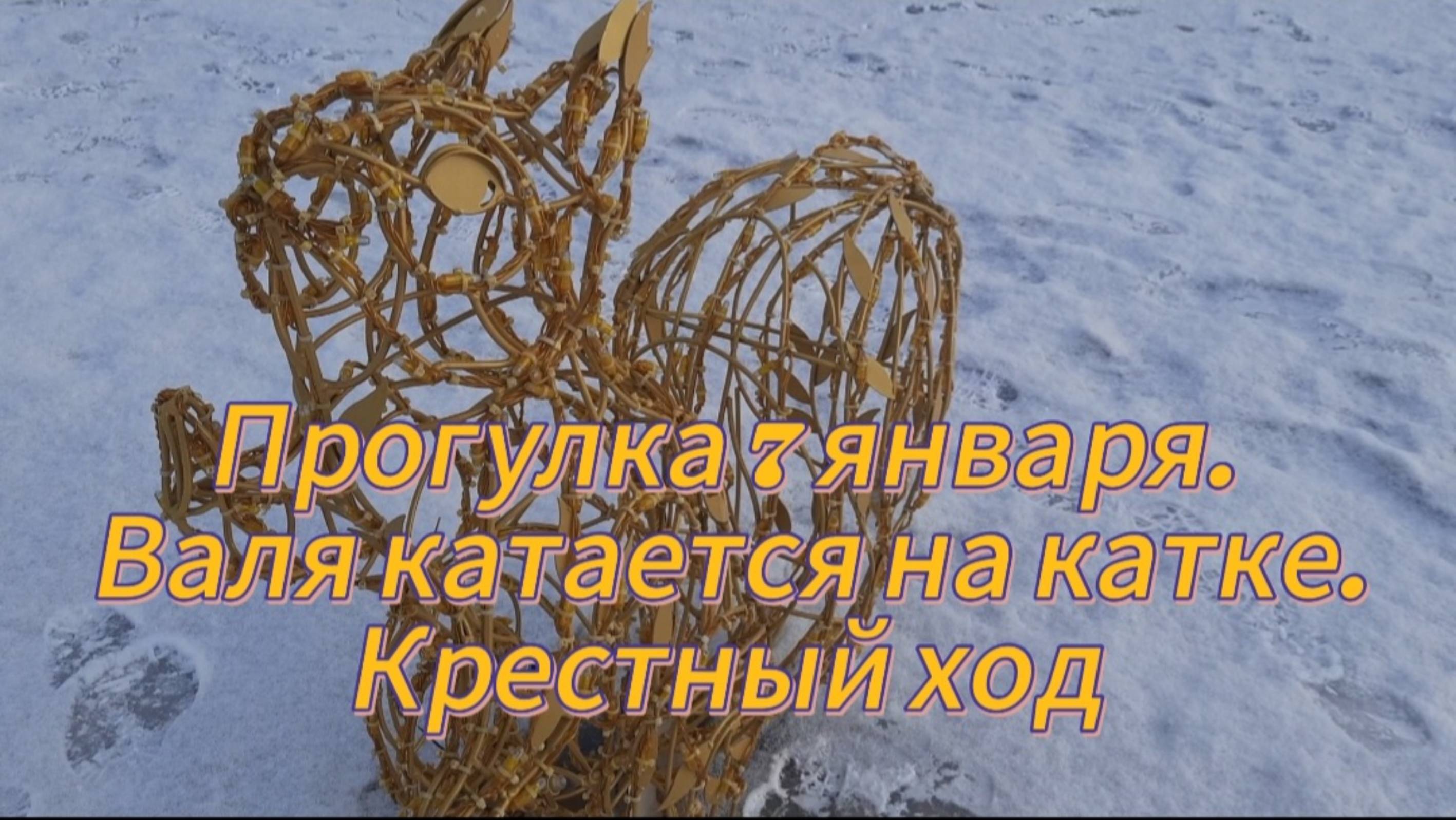 Прогулка 7 января. Валя катается на катке. Крестный ход