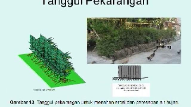 Memanen Air Hujan_3.mov