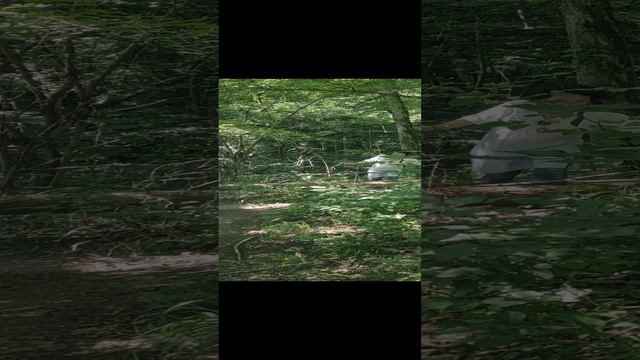 VID_20210730_160744