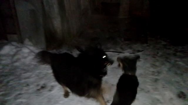 батарейка энерджайзер