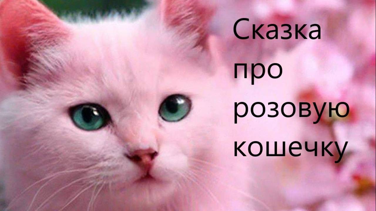Сказка про розовую кошечку