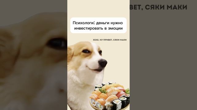 IMG_9591.MOV