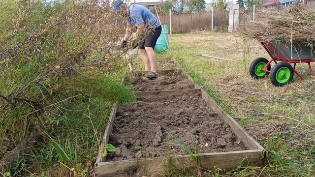 Подготовка грядки к посадке культур или сидератов в реальном времени. Сколько же труда уходит на это