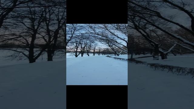 Снежинка, новый год