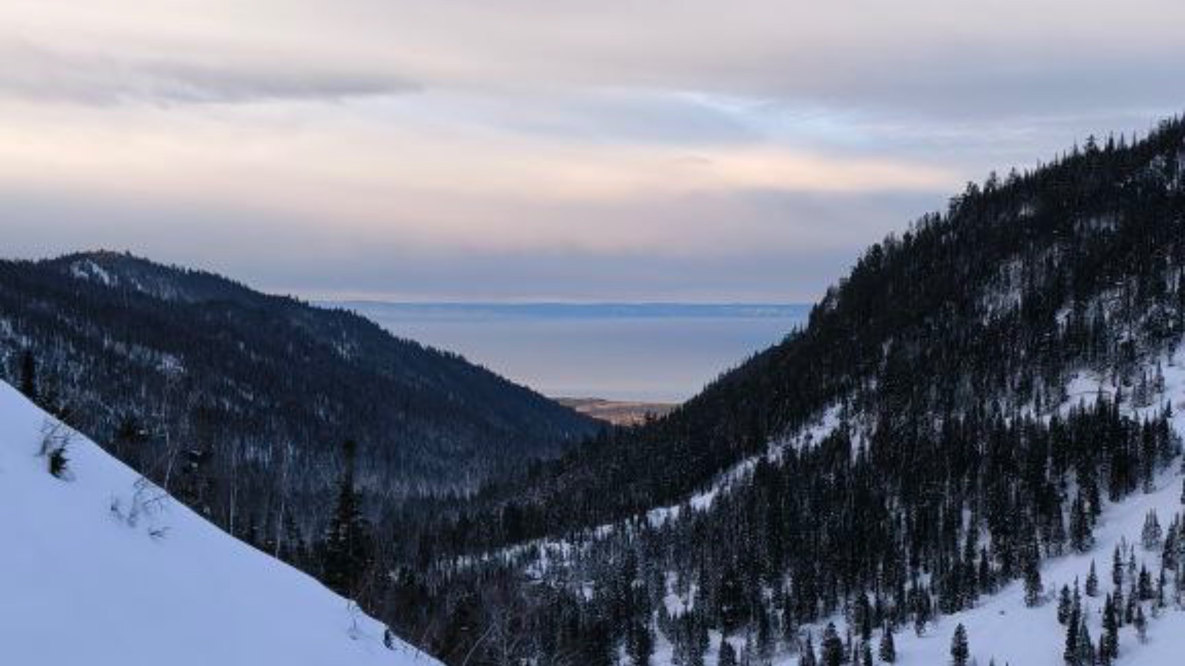 Мамай, 05-06.01.2025