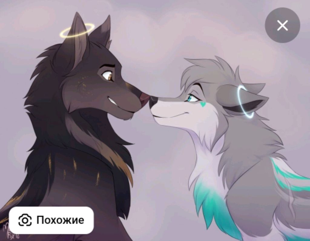 тыц-тыц-танцы