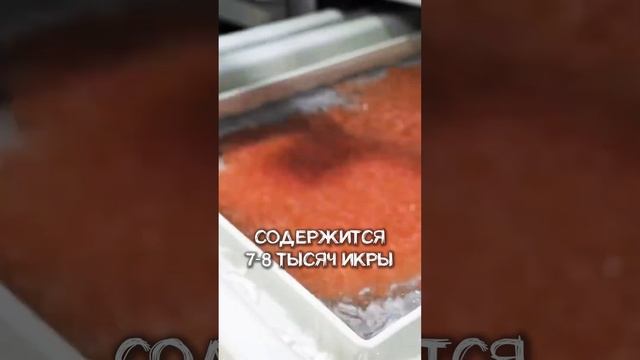 ИЗ РАЗРУШЕННОГО АНГАРА В ДОХОДНЫЙ БИЗНЕС
