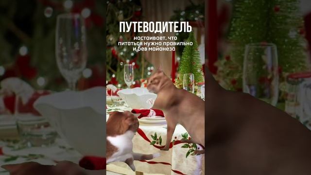#похудение #пп #рецепты #тренировки  #заработок