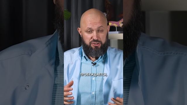 Профилактика ковида и других вирусов